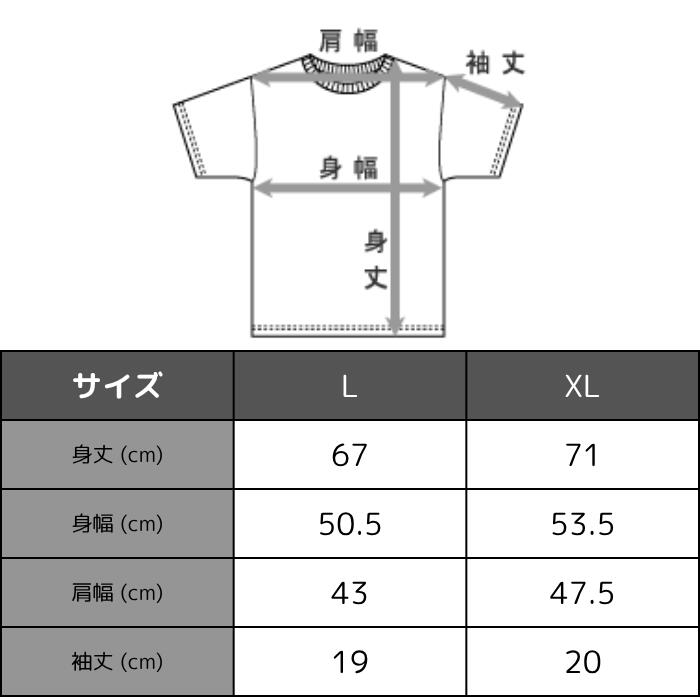 【1000円OFF】ヘルスニットHealthknitTシャツ半袖綿100ヘンリーネックメンズレディースユニセックスピグメント染め丸胴フラットシーマUSコットンUSAコットンおしゃれかわいい10060