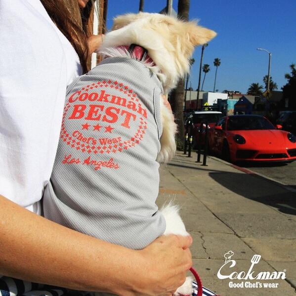 【Cookman】ドッグTシャツ
