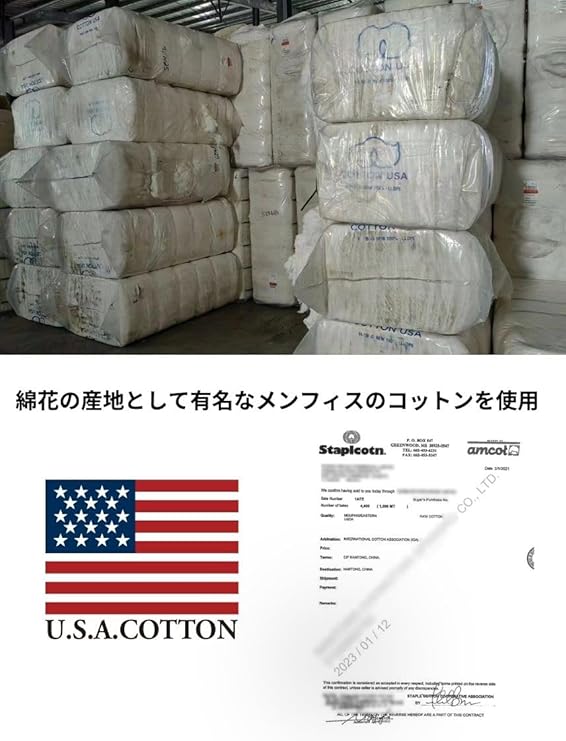 GoodwearグッドウェアロングTシャツヘンリーネックメンズレディース無地長袖ロンTレギュラーTシャツUSAコットン7.6オンスヘビーウェイト
