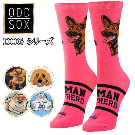 oddsox