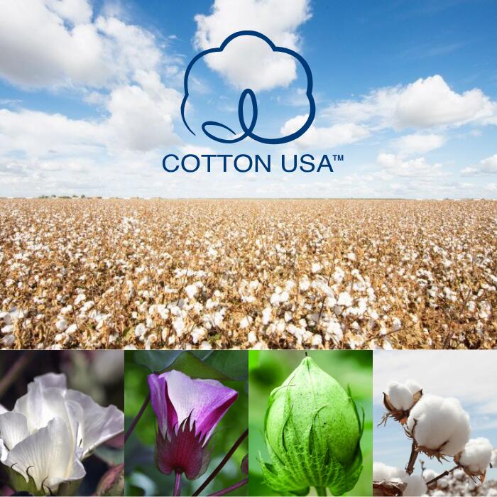 GoodOnグッドオンTシャツ半袖メンズレディースユニセックスクルーネック無地大きいサイズ5.5ozUSAコットン綿100％製品染め顔料染め日本製アメカジS/SCREWTEEGOST-701GOST7013X